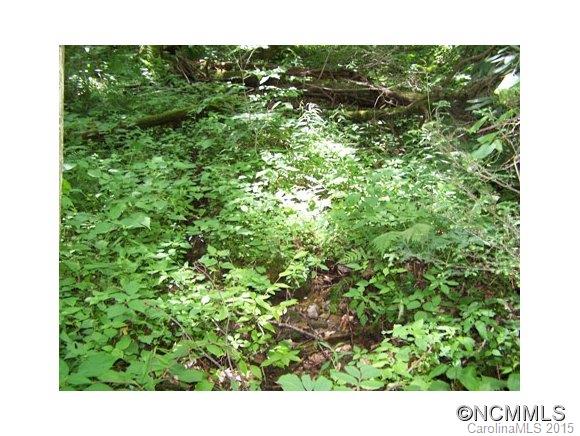 Villages Of Plott Creek - Land