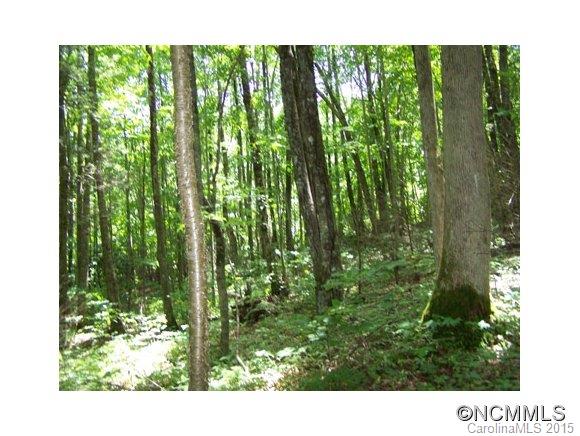 Villages Of Plott Creek - Land