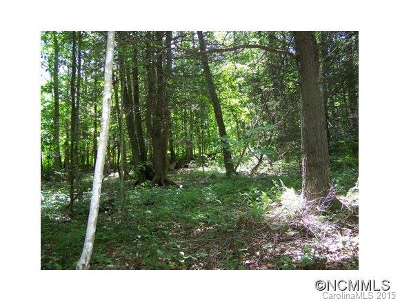 Villages Of Plott Creek - Land