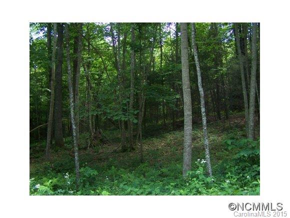 Villages Of Plott Creek - Land