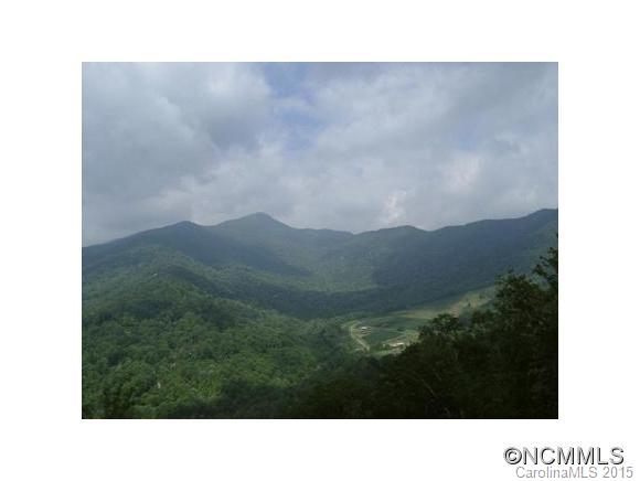 Villages Of Plott Creek - Land