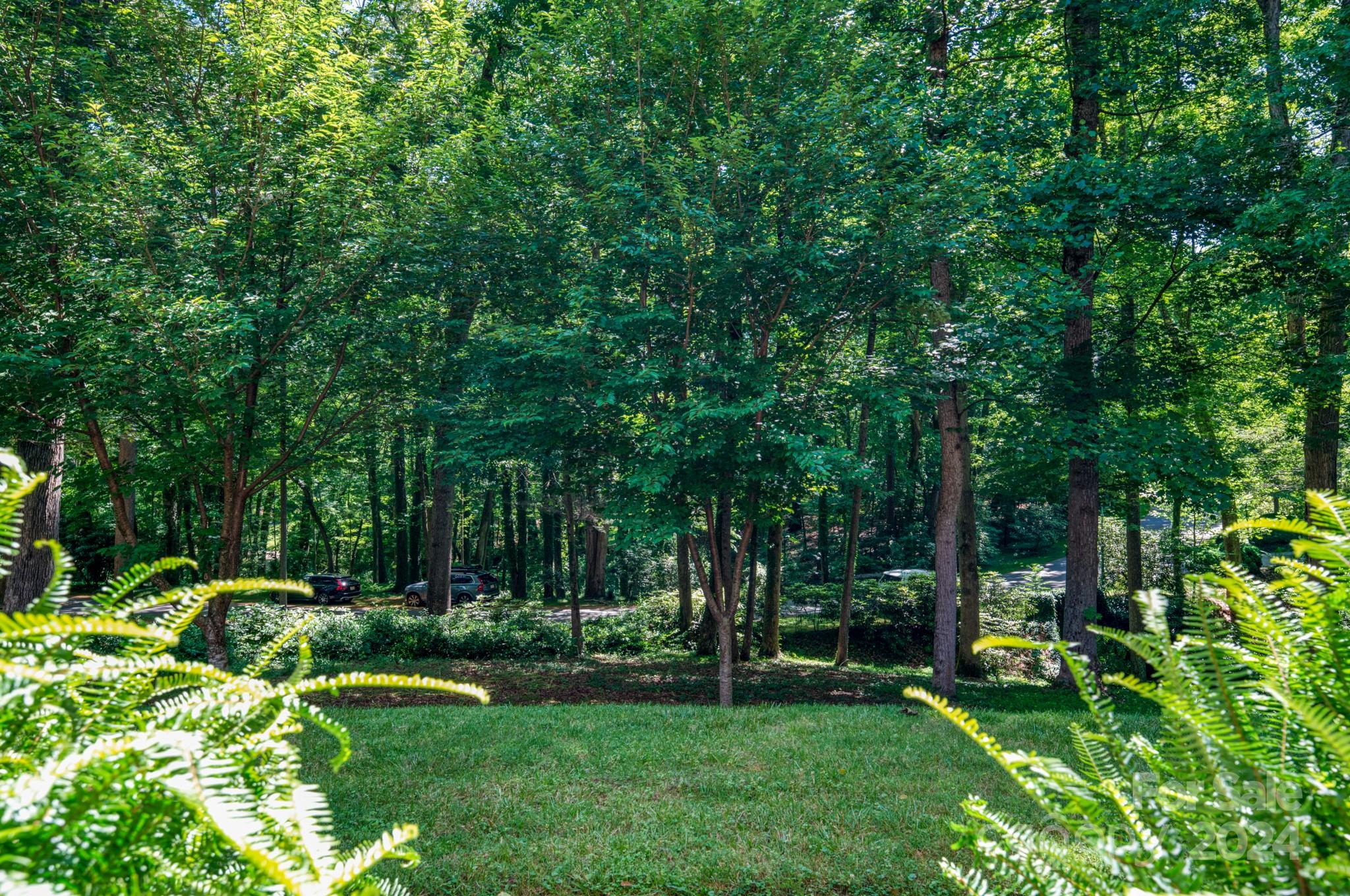 Biltmore Forest - Residential