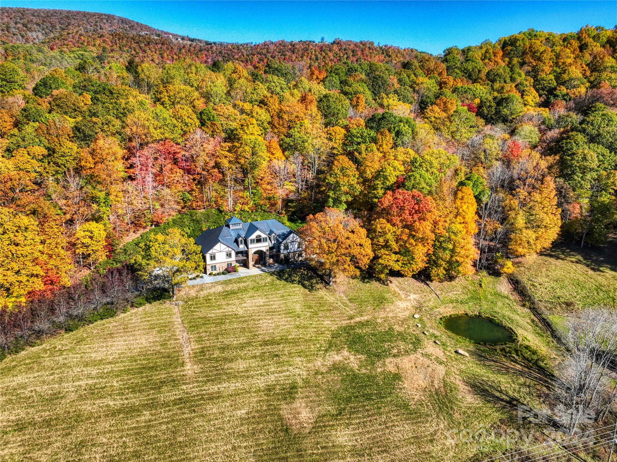 Chestnut - Residential