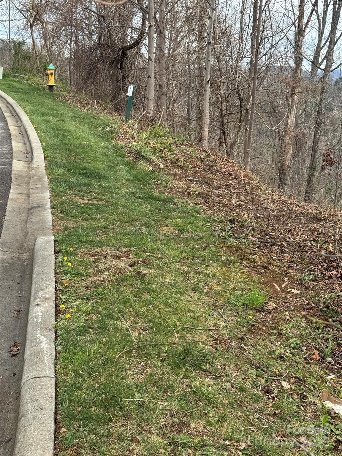 Reynolds Mountain - Residential