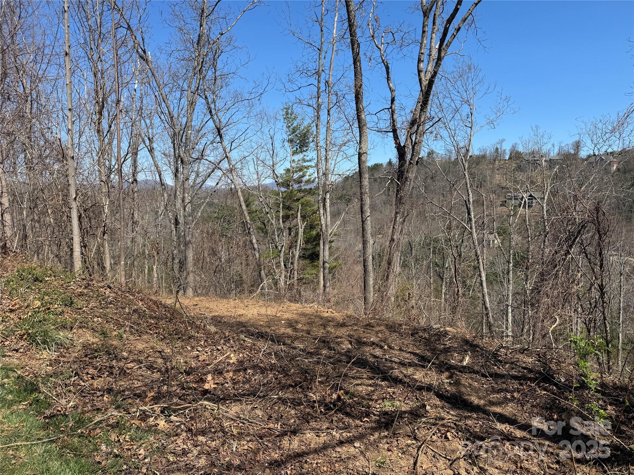 Reynolds Mountain - Residential