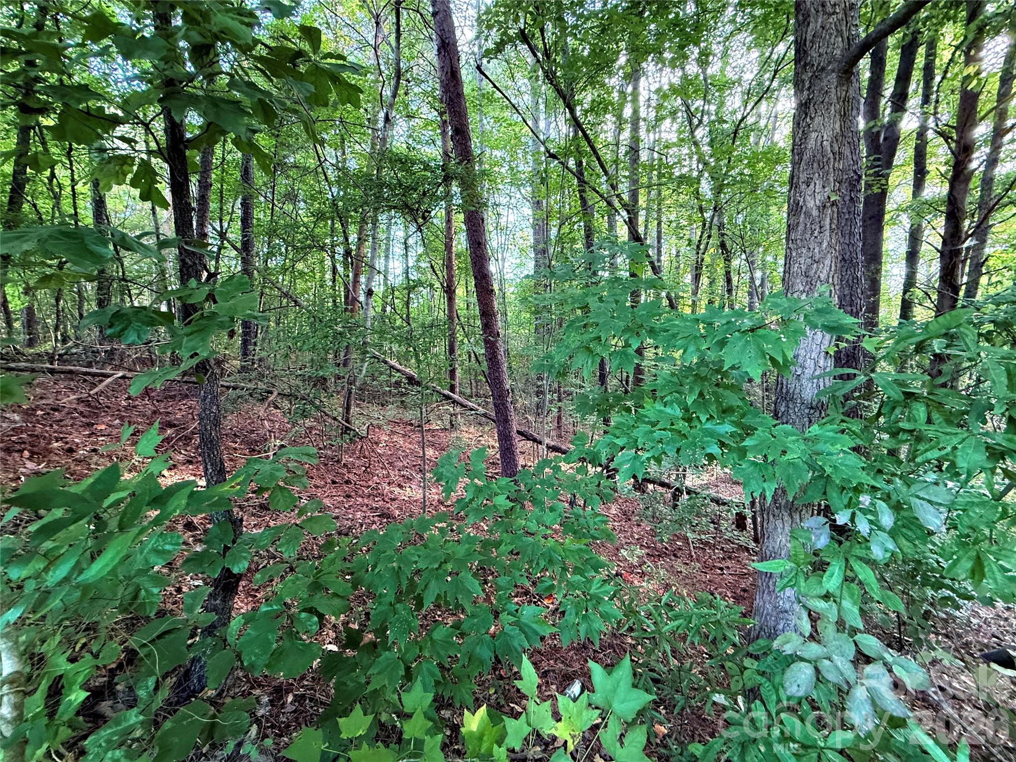 lot 101 Carlie Street