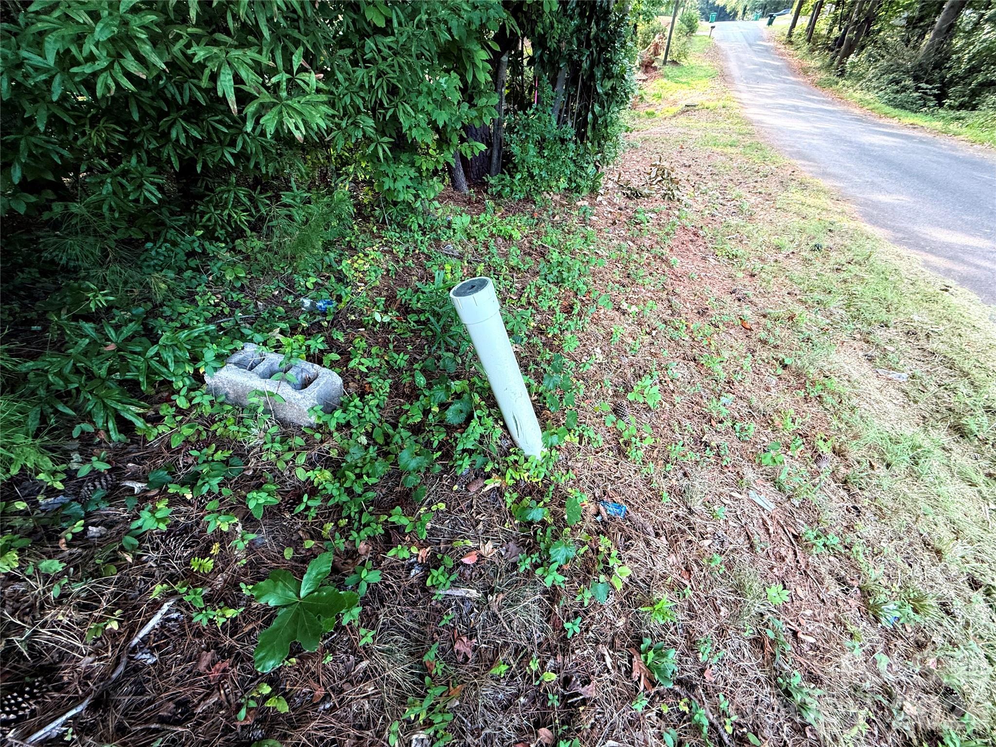 lot 101 Carlie Street