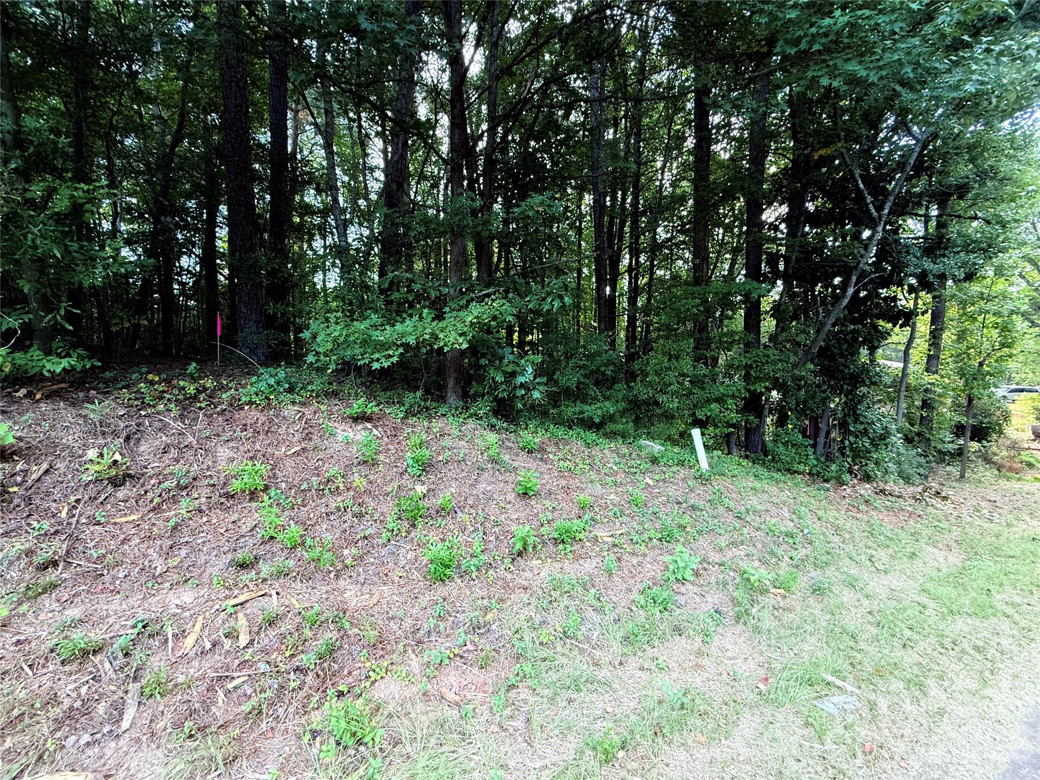 lot 101 Carlie Street