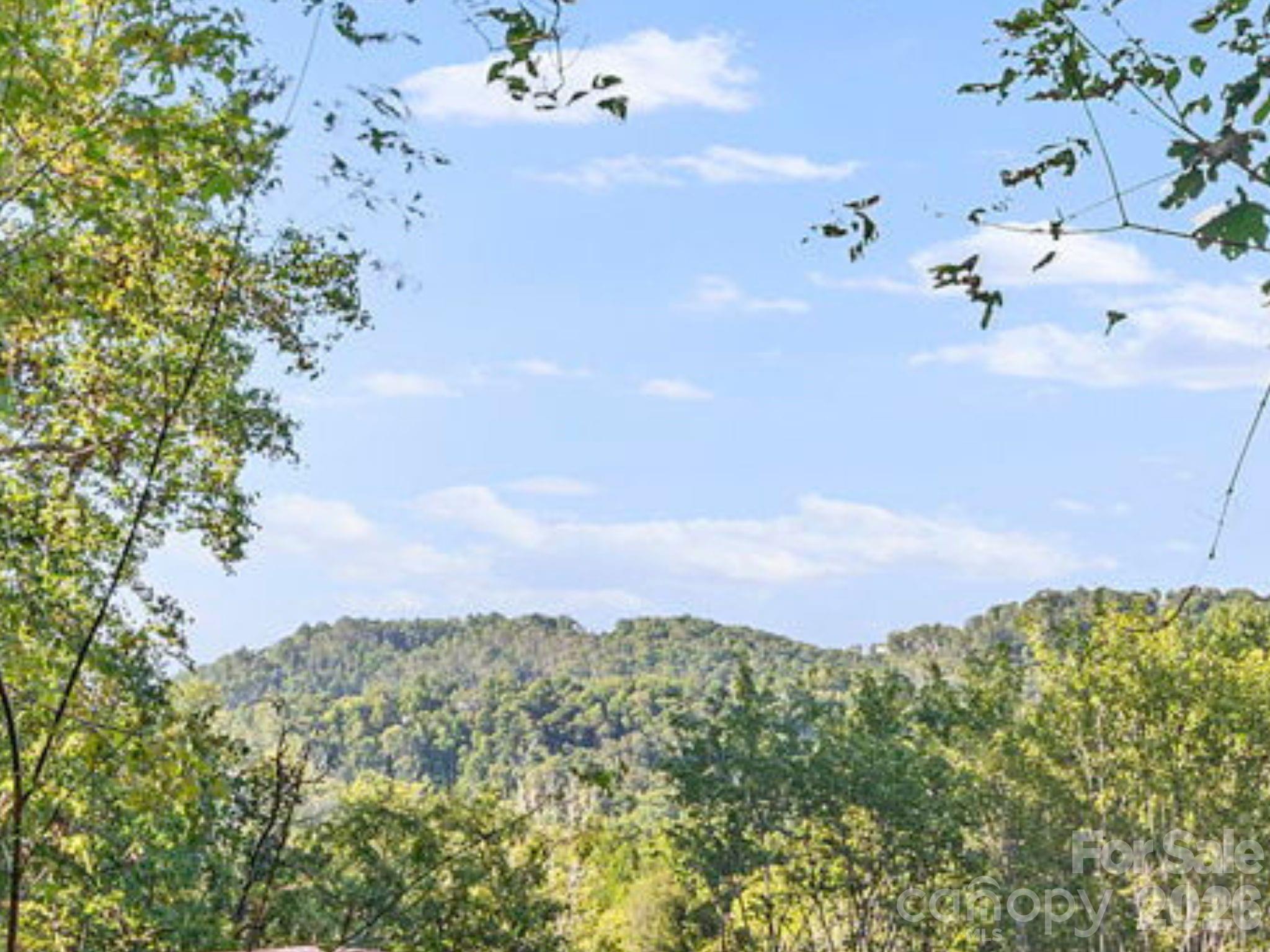 39 Spooks Branch Extension