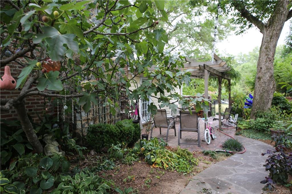 Cherry - Residential