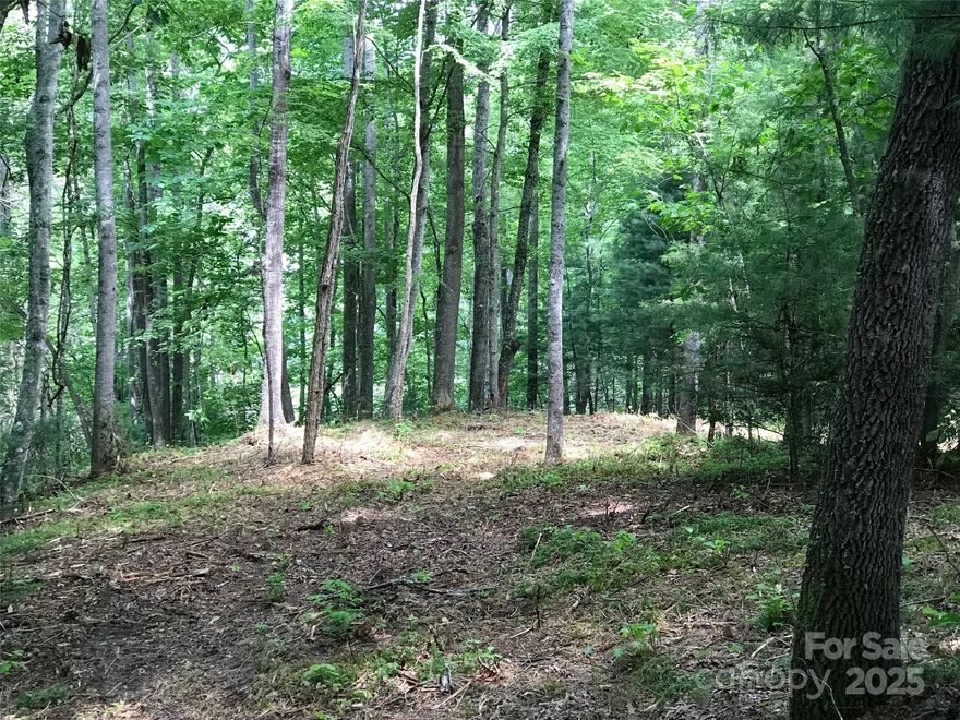 This private homesite is located near the middle of Bear Lake Reserve with easy access to both the entrance gate and the many amenities the community has to offer. The gentle topography of this land is ideal for building your new mountain home while providing a nice private wooded setting. Mountain and water views are possible with selective clearing.