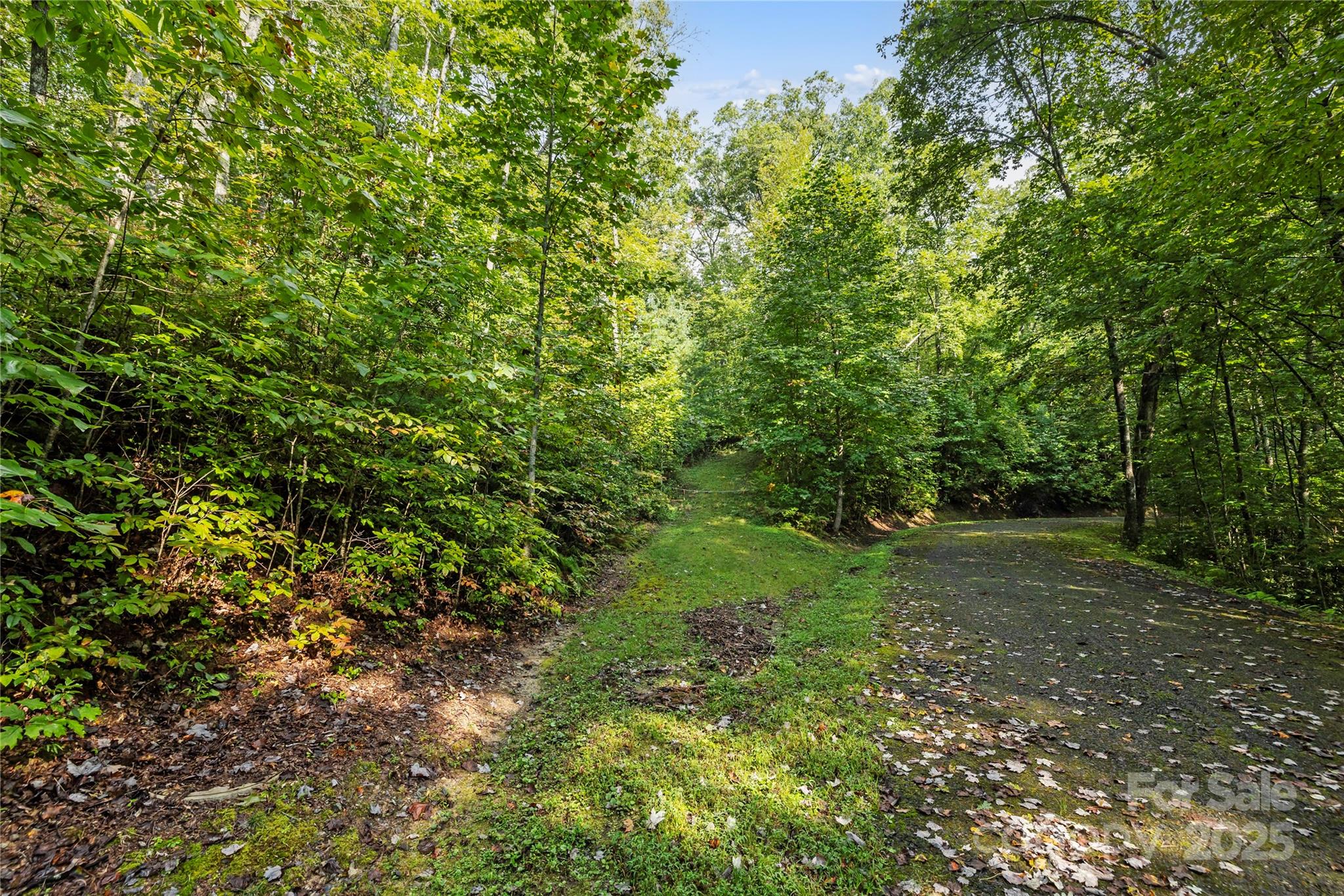 TBD Barts Branch Drive 13-16