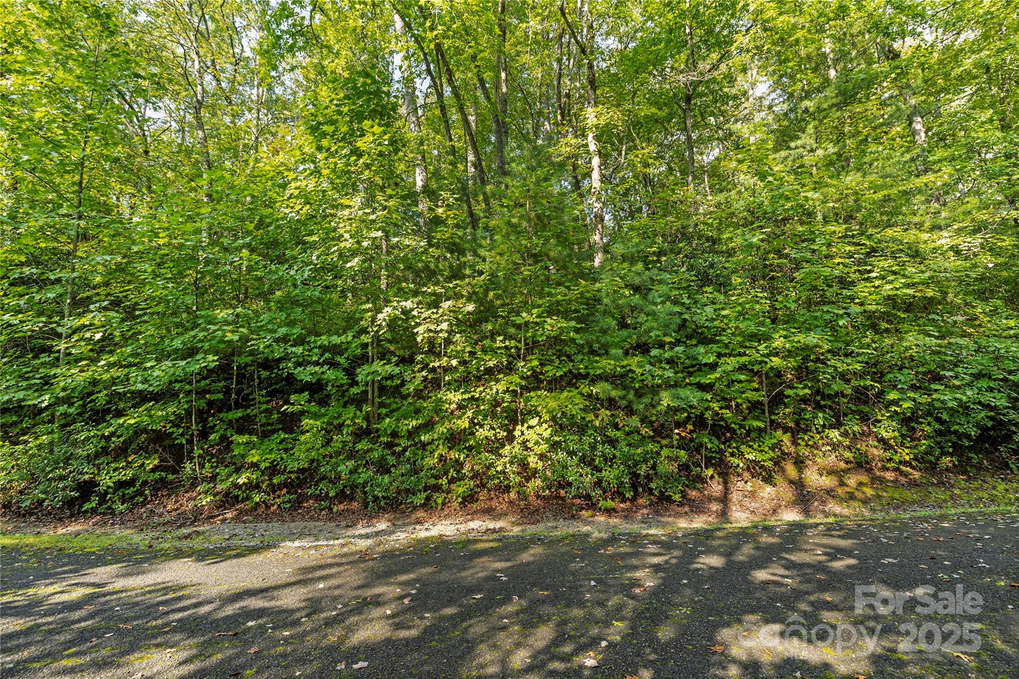 Sweetwater Ridge - Land