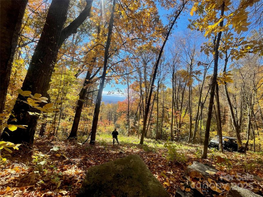 Welcome to Homesite #1, a rare offering in the exclusive, gated community of Sprout. A 450-acre master planned community featuring only 73 homesites. This is the one you’ve been waiting for. Nestled at the very end of a quiet road, this 7.11-acre homesite offers absolute privacy. Towering hardwoods, rhododendron clusters, and natural boulder outcroppings create a magical, forested canvas. Above the treeline you’ll find panoramic vistas that unfold over rolling ridgelines and distant peaks. Sprout has 150 acres permanently set aside as conserved land, undisturbed, protected, and accessible only to owners. Explore 5 miles of private trails, plant a harvest in the community gardens or learn to bee keep on the property's 2 apiaries. Come explore Homesite #1 for yourself, where privacy, nature, and mountain living come perfectly together.