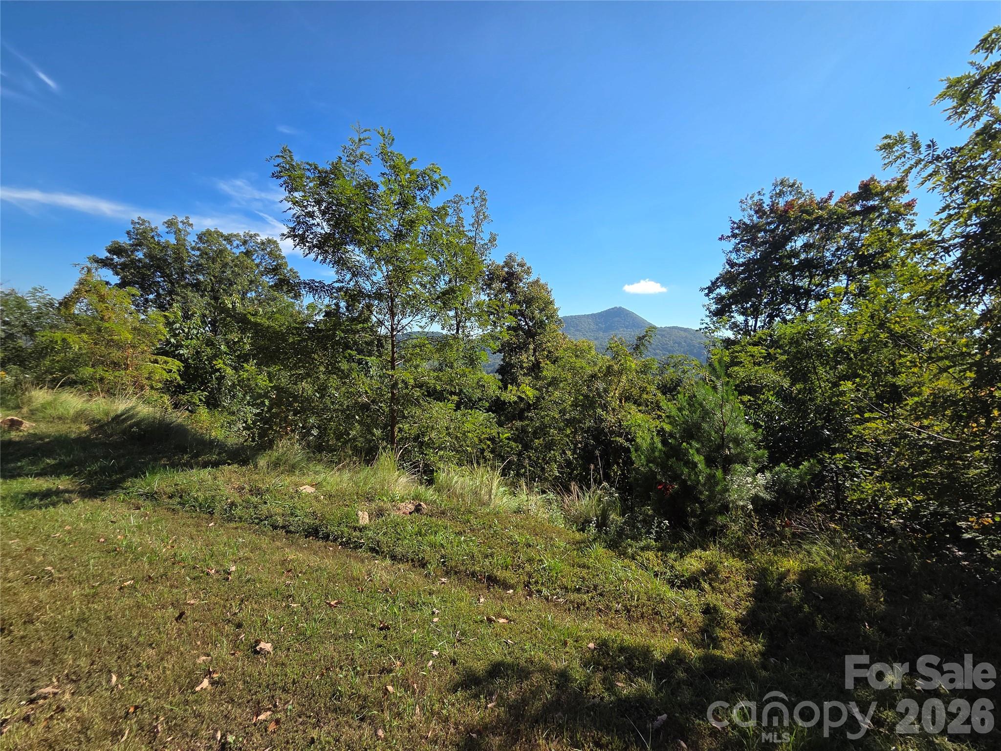 The Summit Of Asheville - Land