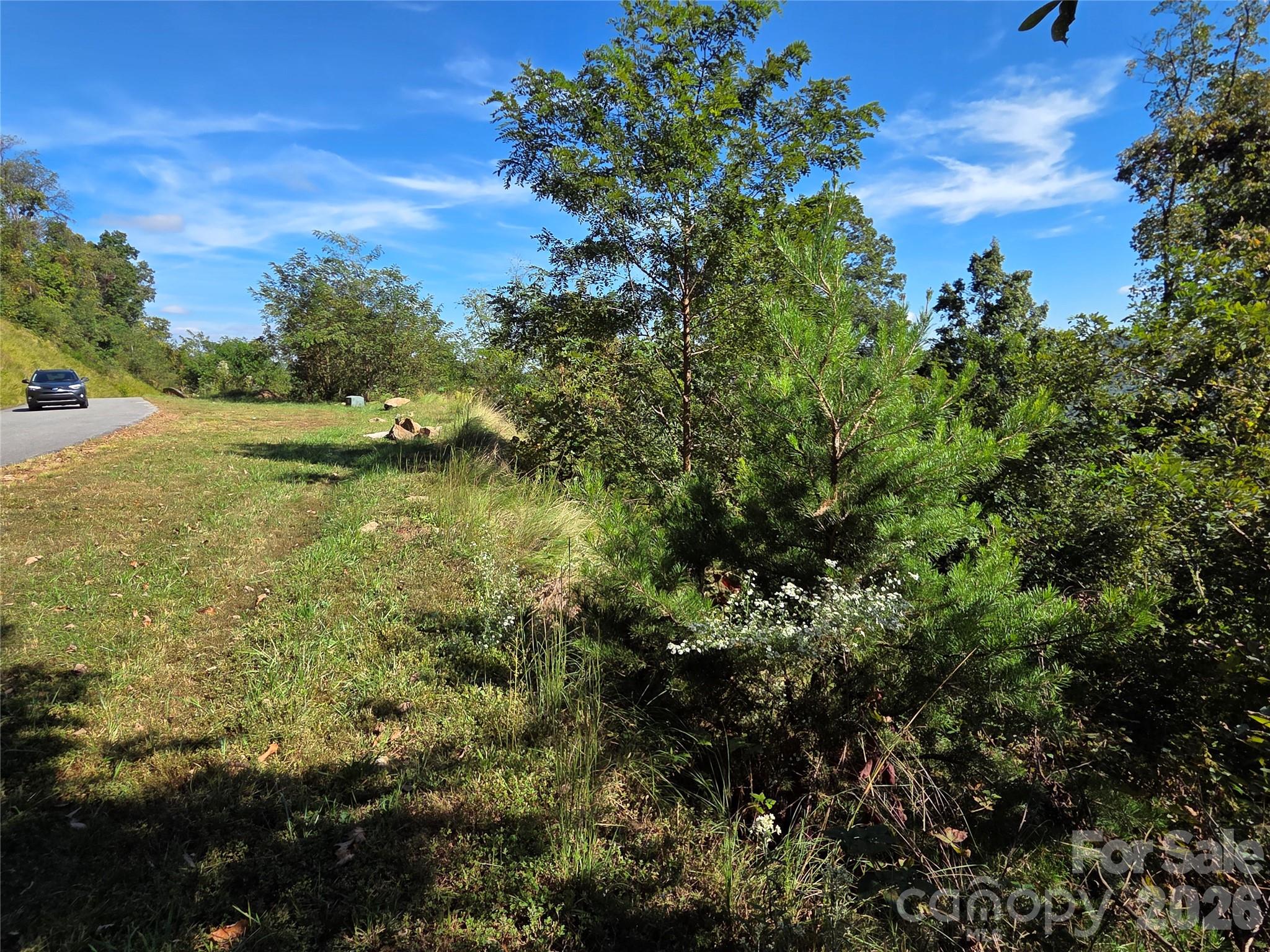 The Summit Of Asheville - Land