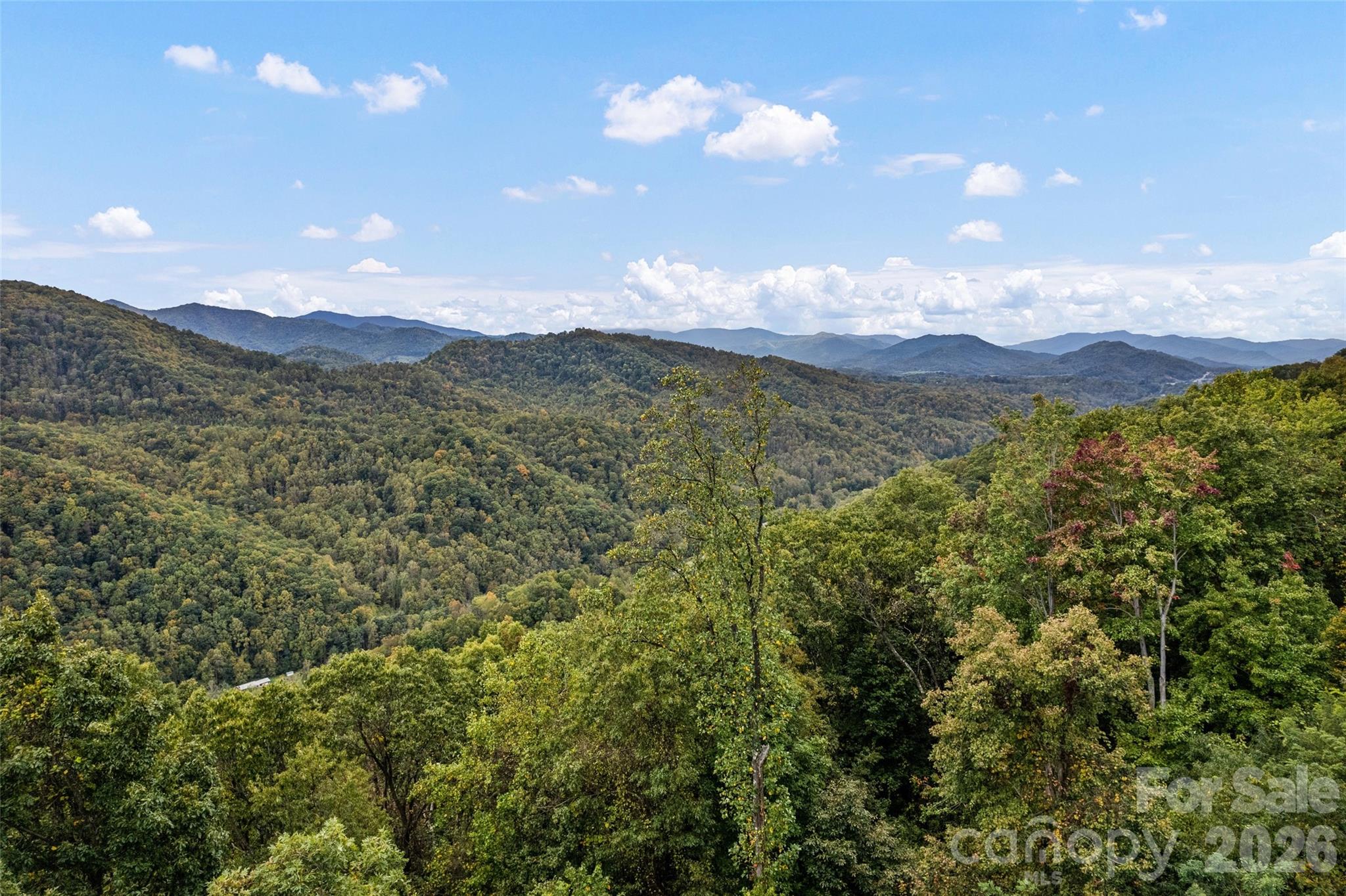The Summit Of Asheville - Land