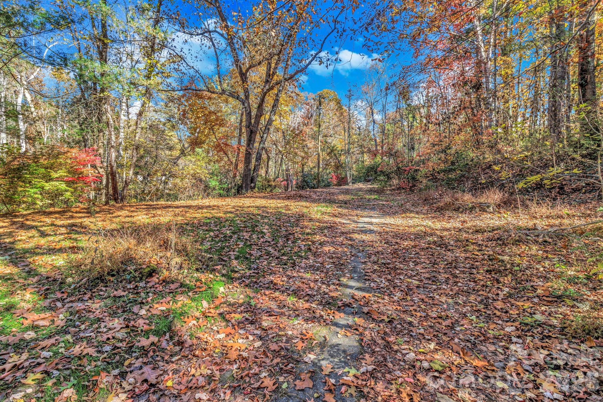 99999 Leisure Mountain Road