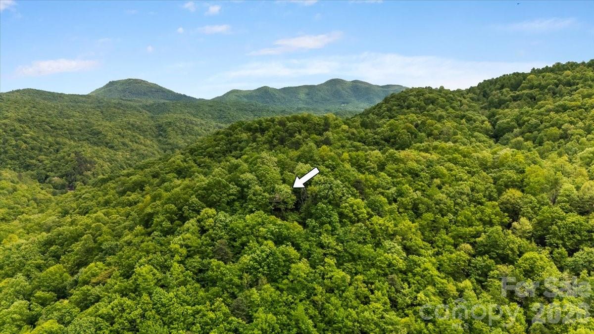 Tree Haven - Residential