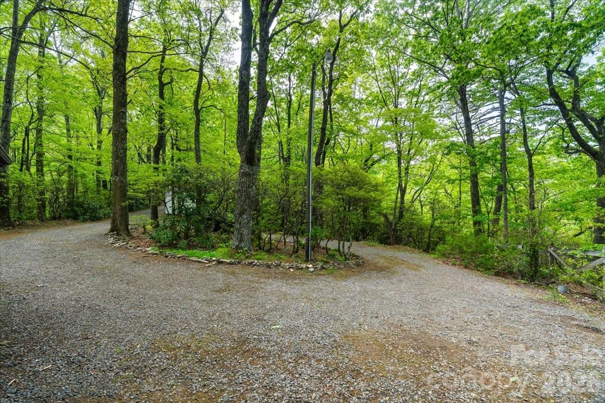 Tree Haven - Residential