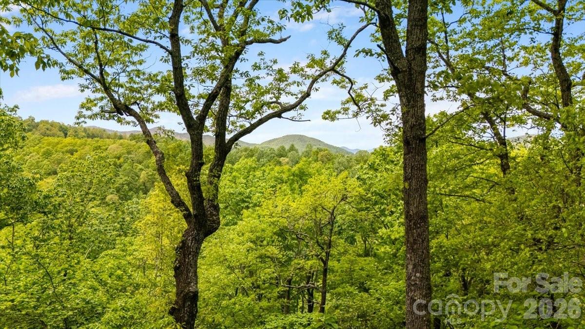 Tree Haven - Residential