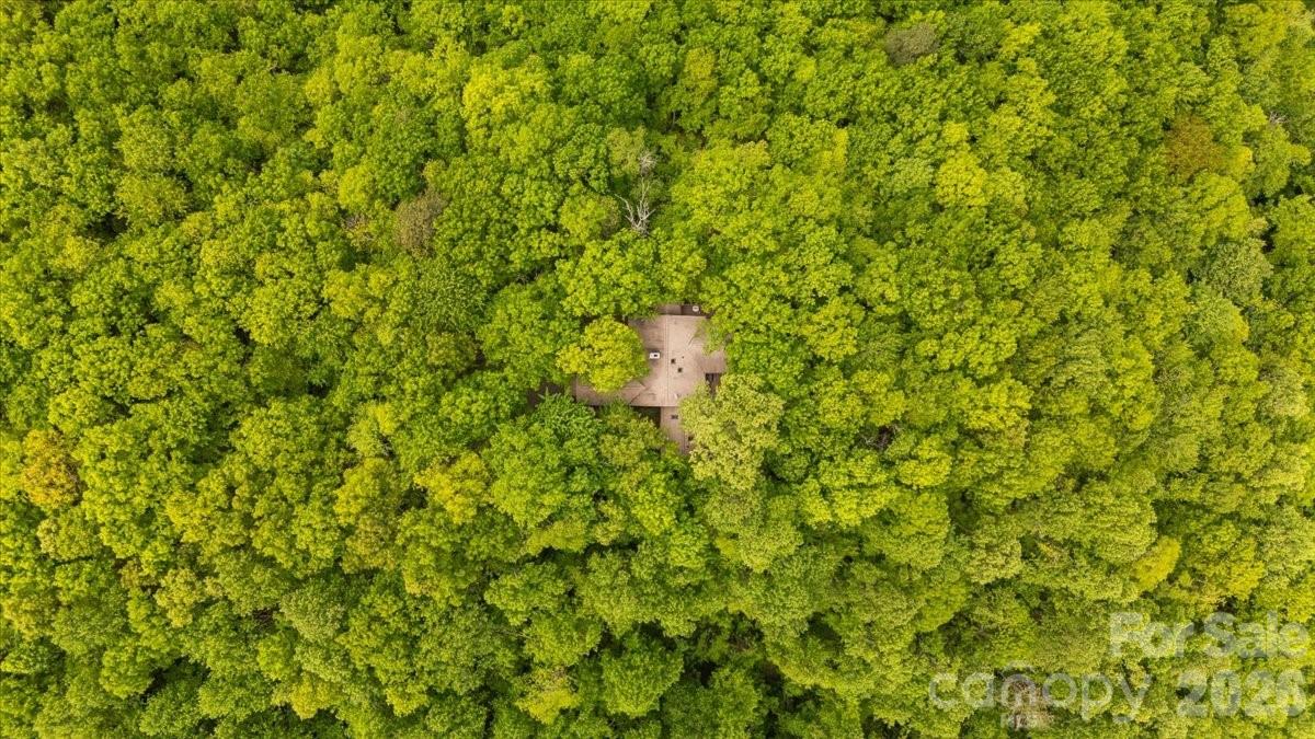 Tree Haven - Residential
