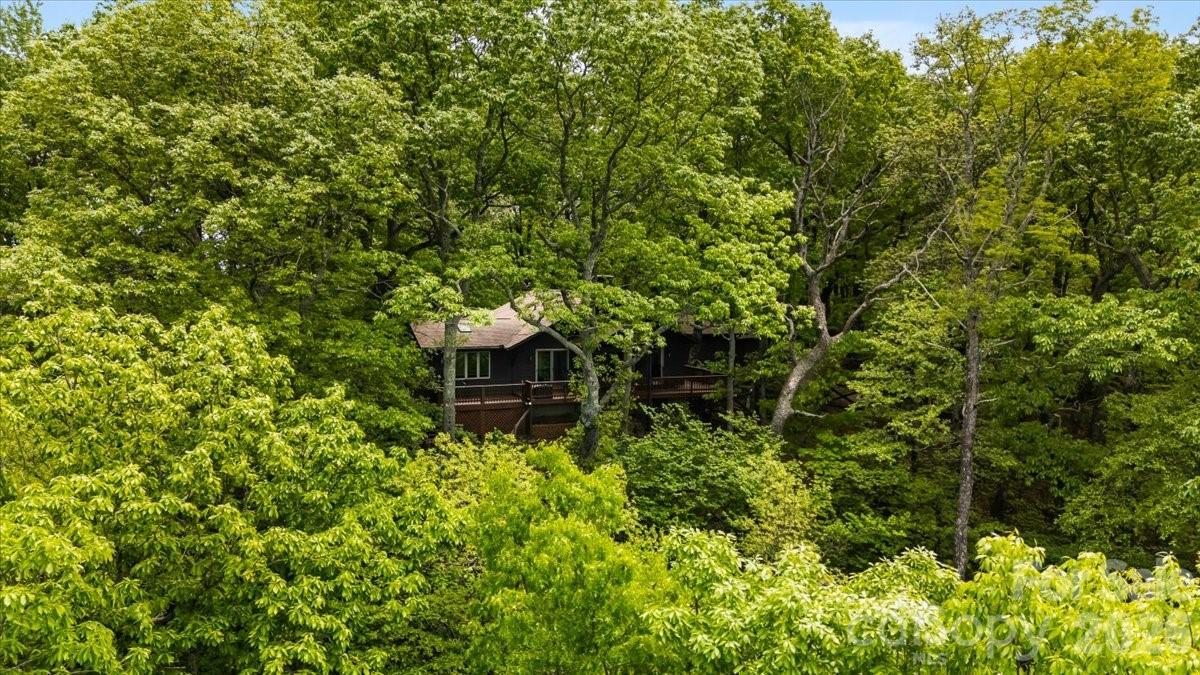 Tree Haven - Residential