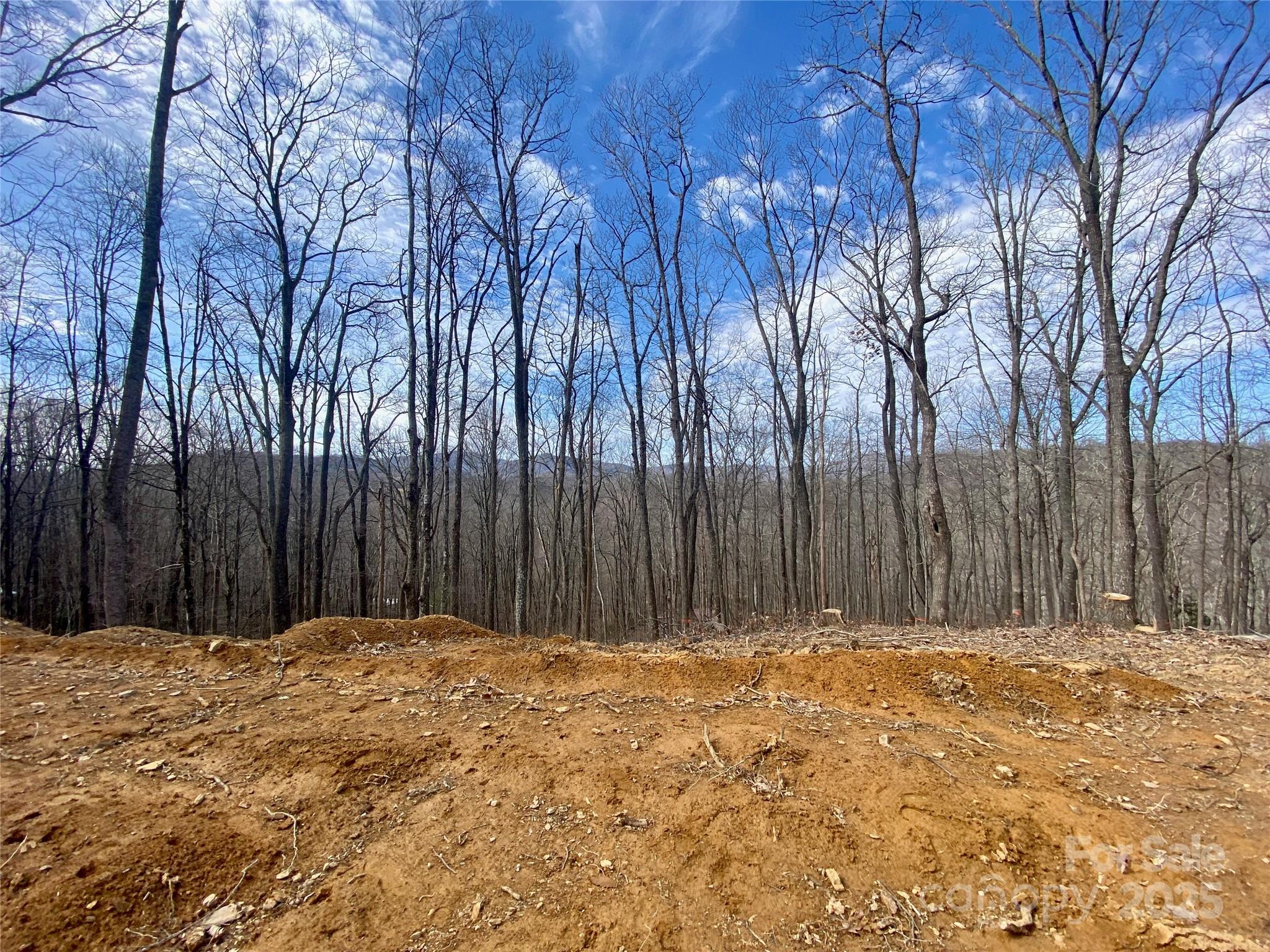 Carolida Acres - Land