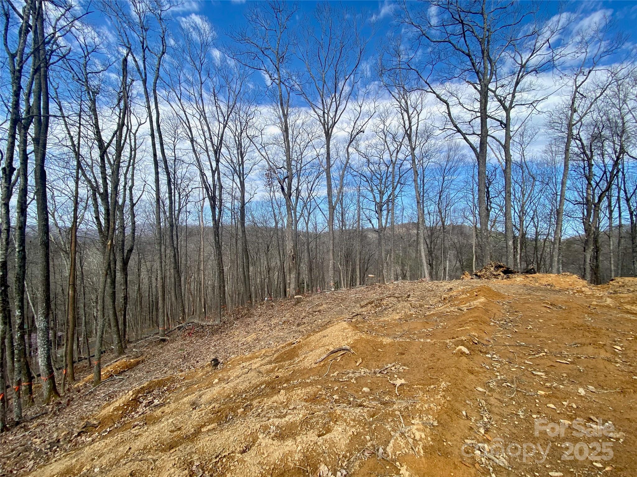 Carolida Acres - Land