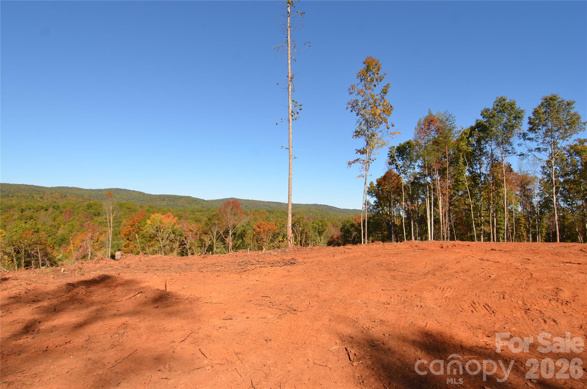 V/L Kohen Trail 8