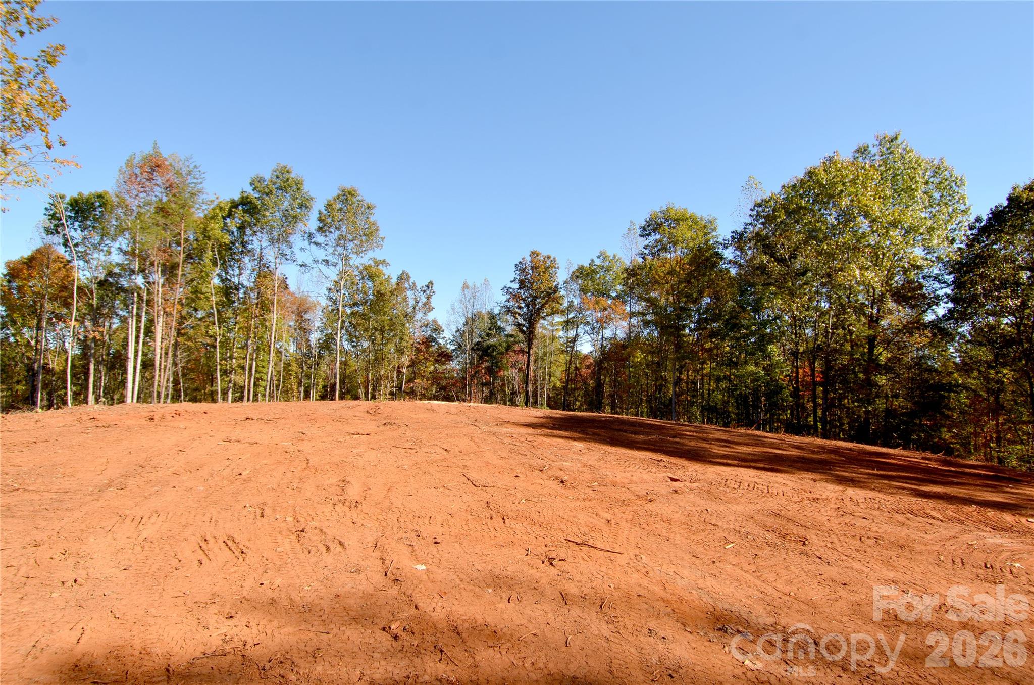V/L Kohen Trail 8