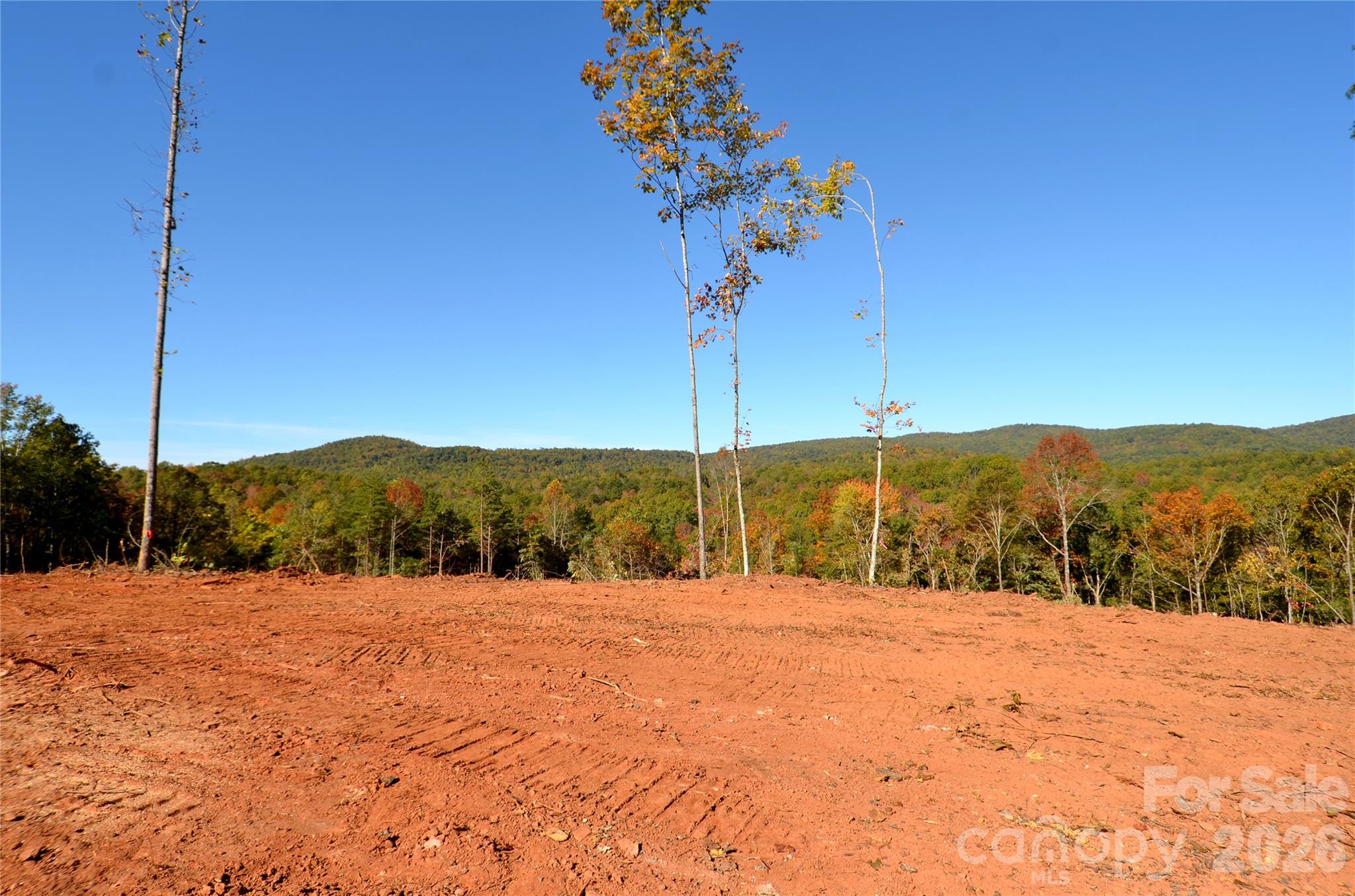 V/L Kohen Trail 8