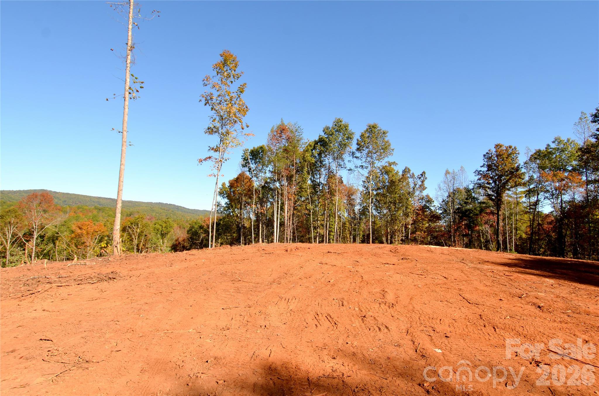 V/L Kohen Trail 8