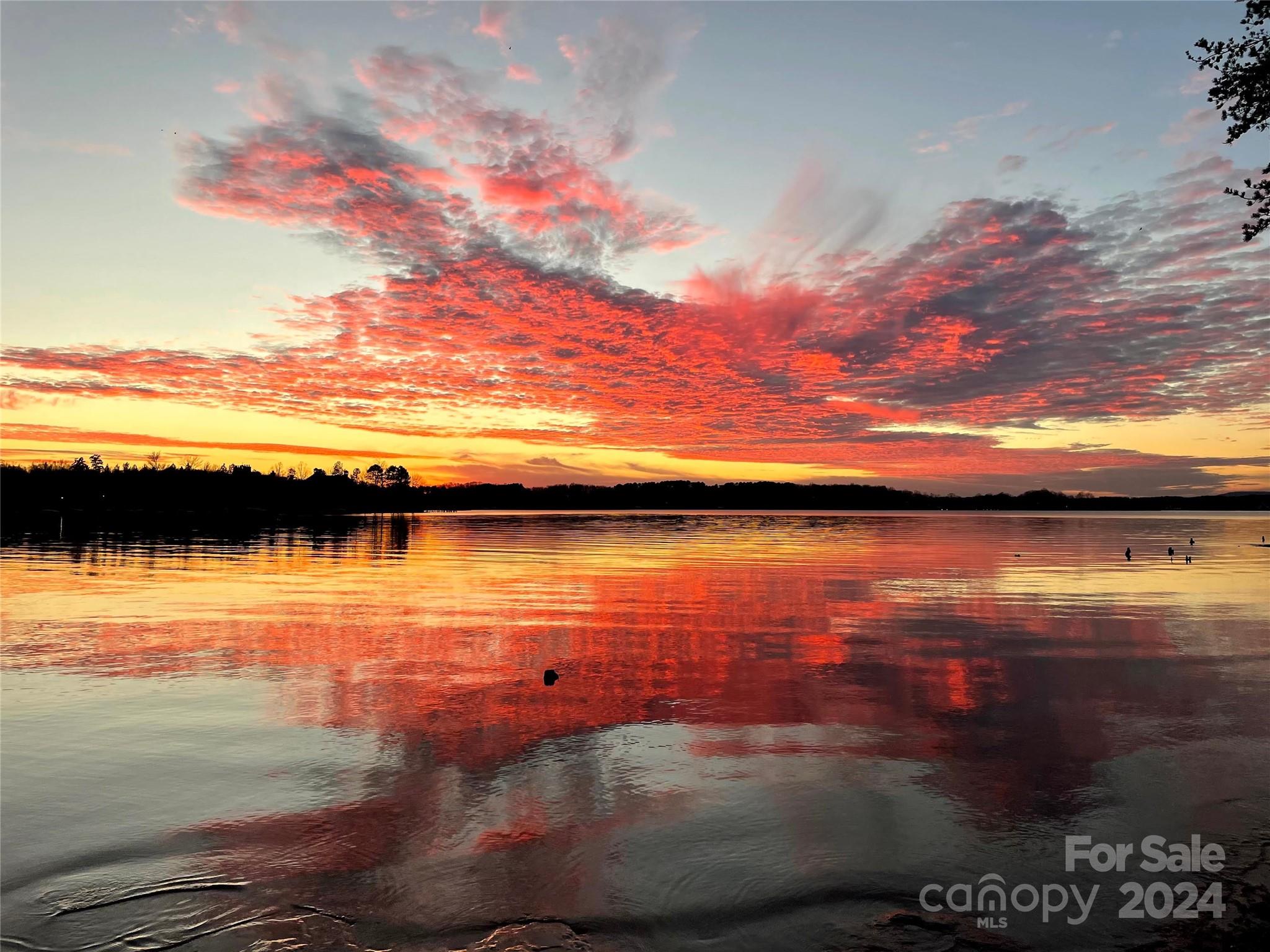 The Point - Residential