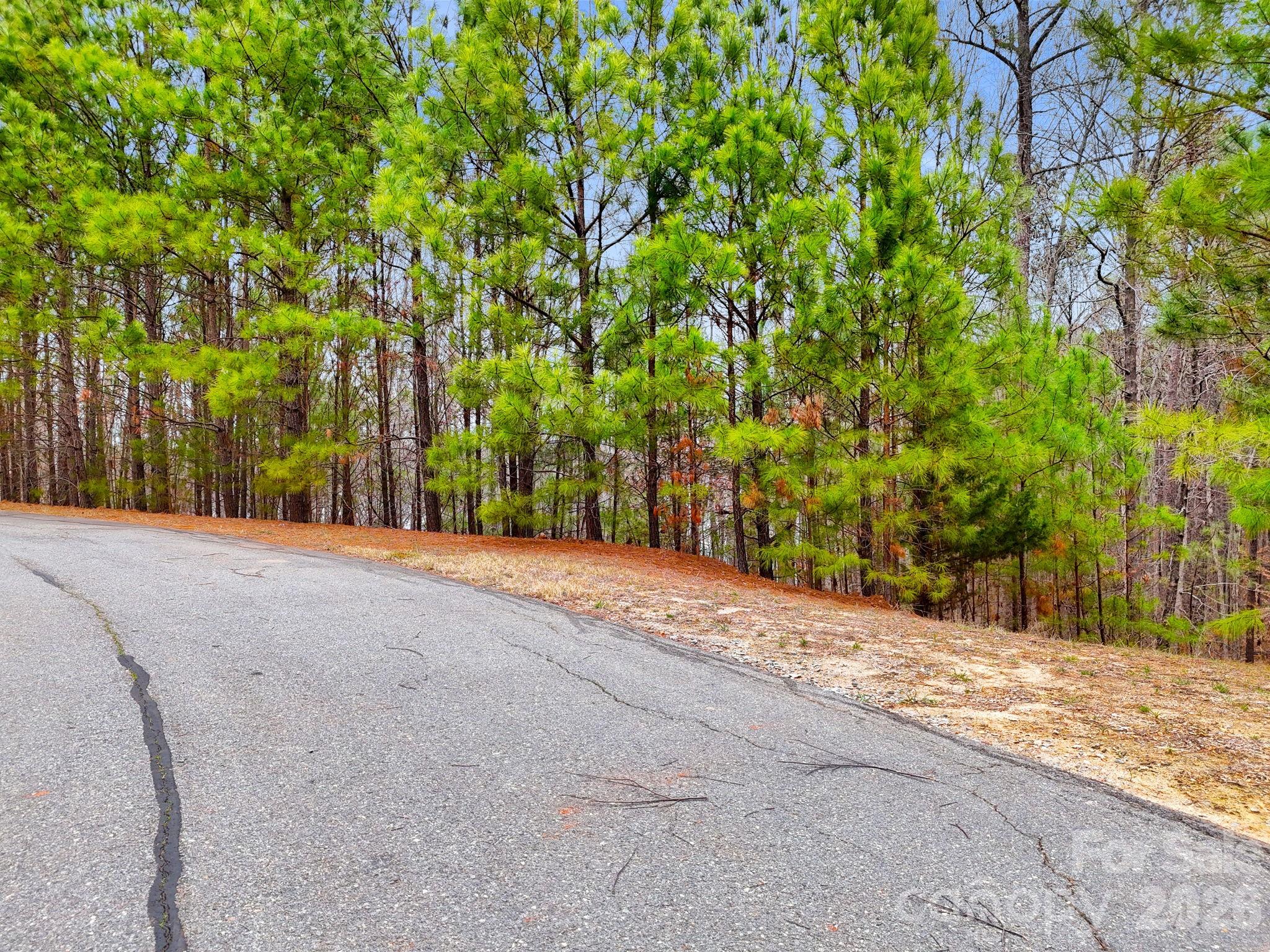 12938 Waterthrush Place