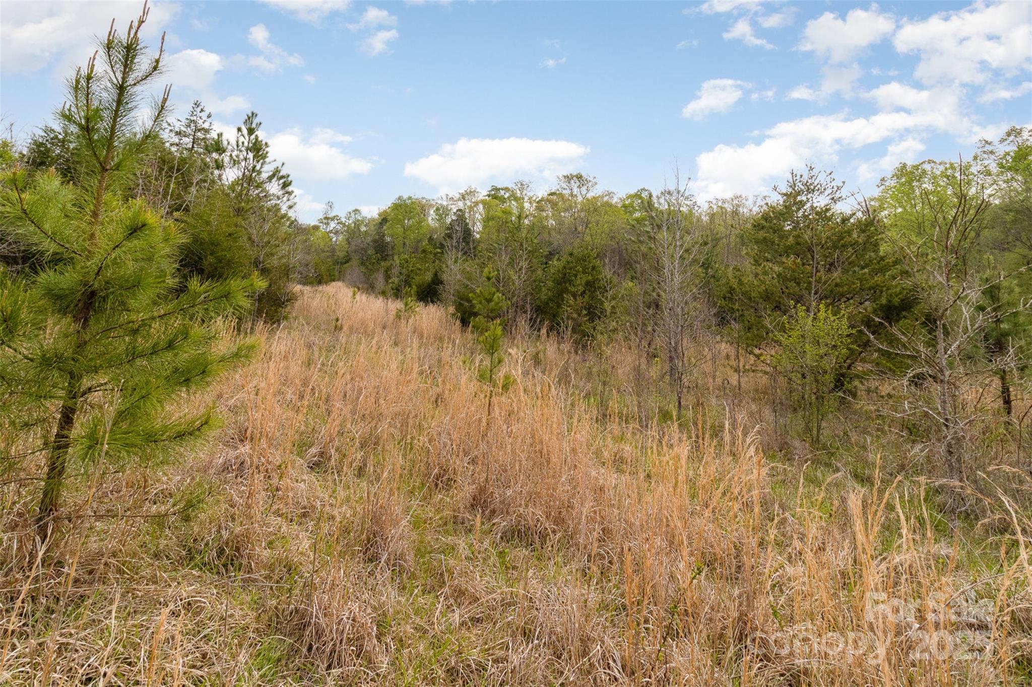 13562 Smith Ford Road
