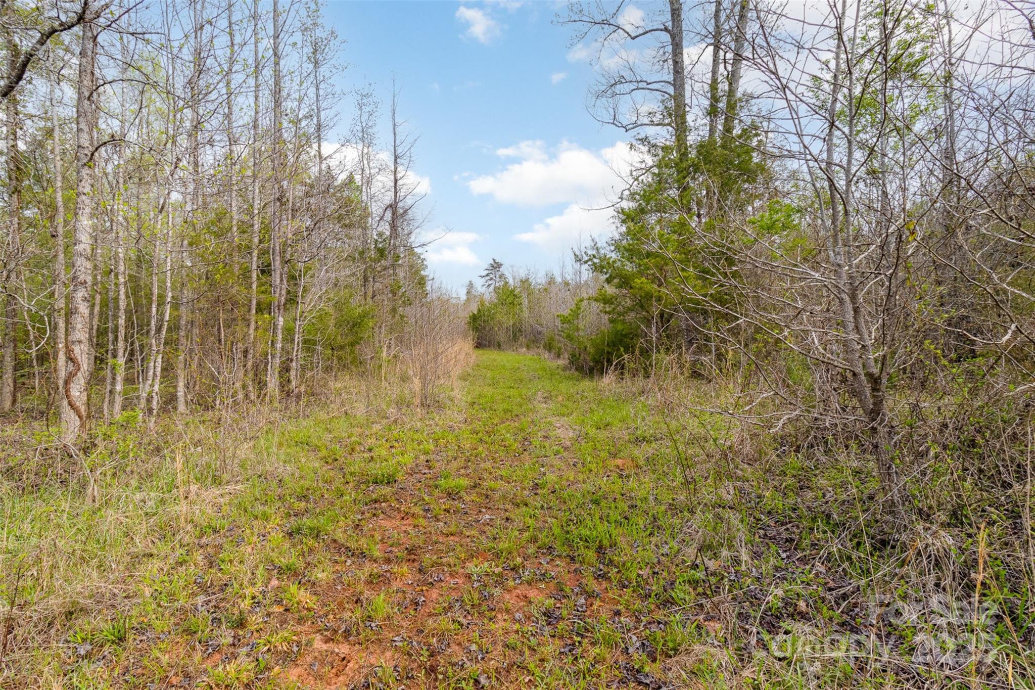 13562 Smith Ford Road