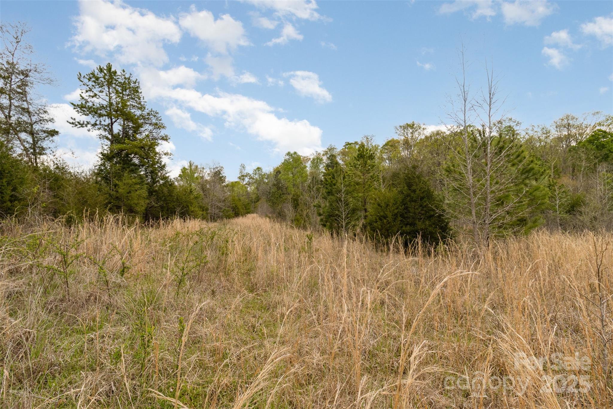 13562 Smith Ford Road