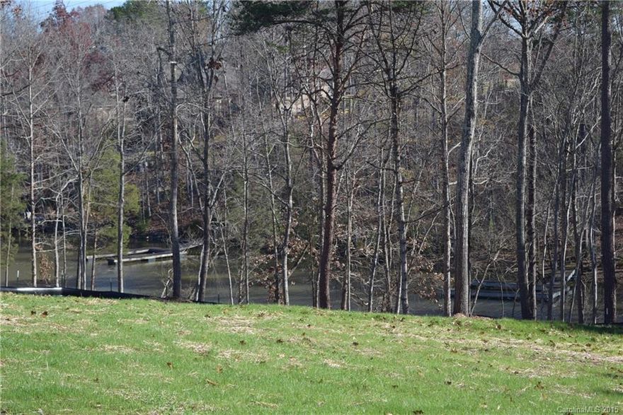 Grab your paddleboard or canoe and get ready to enjoy waterfront living on Lake Wylie! Located in the heart of Lake Wylie, with quick access to shopping, schools and restaurants.  Excellent value on this home site, with lots of hardwoods for privacy and natural beauty.  Lot has been professionally cleared and graded, with grading plans approved and permitted. Shoreline undercut for easy lake access. Construction entrance installed, ready for you to build!  Community has pool and clubhouse.