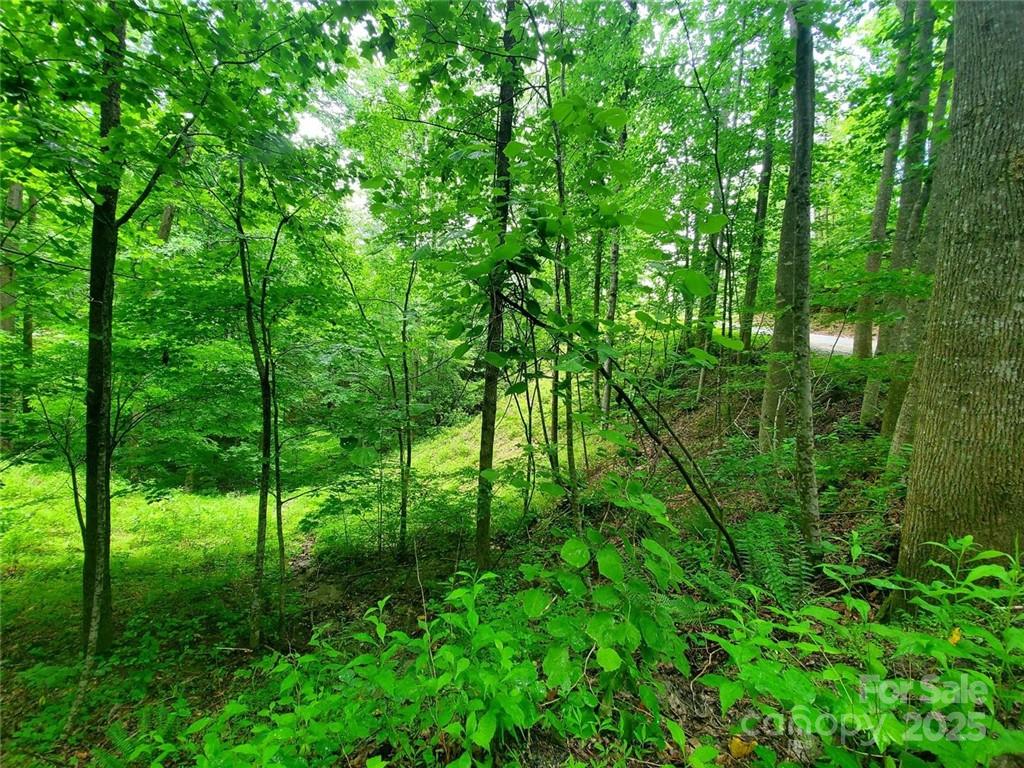 Riverbend at Lake Lure - Land