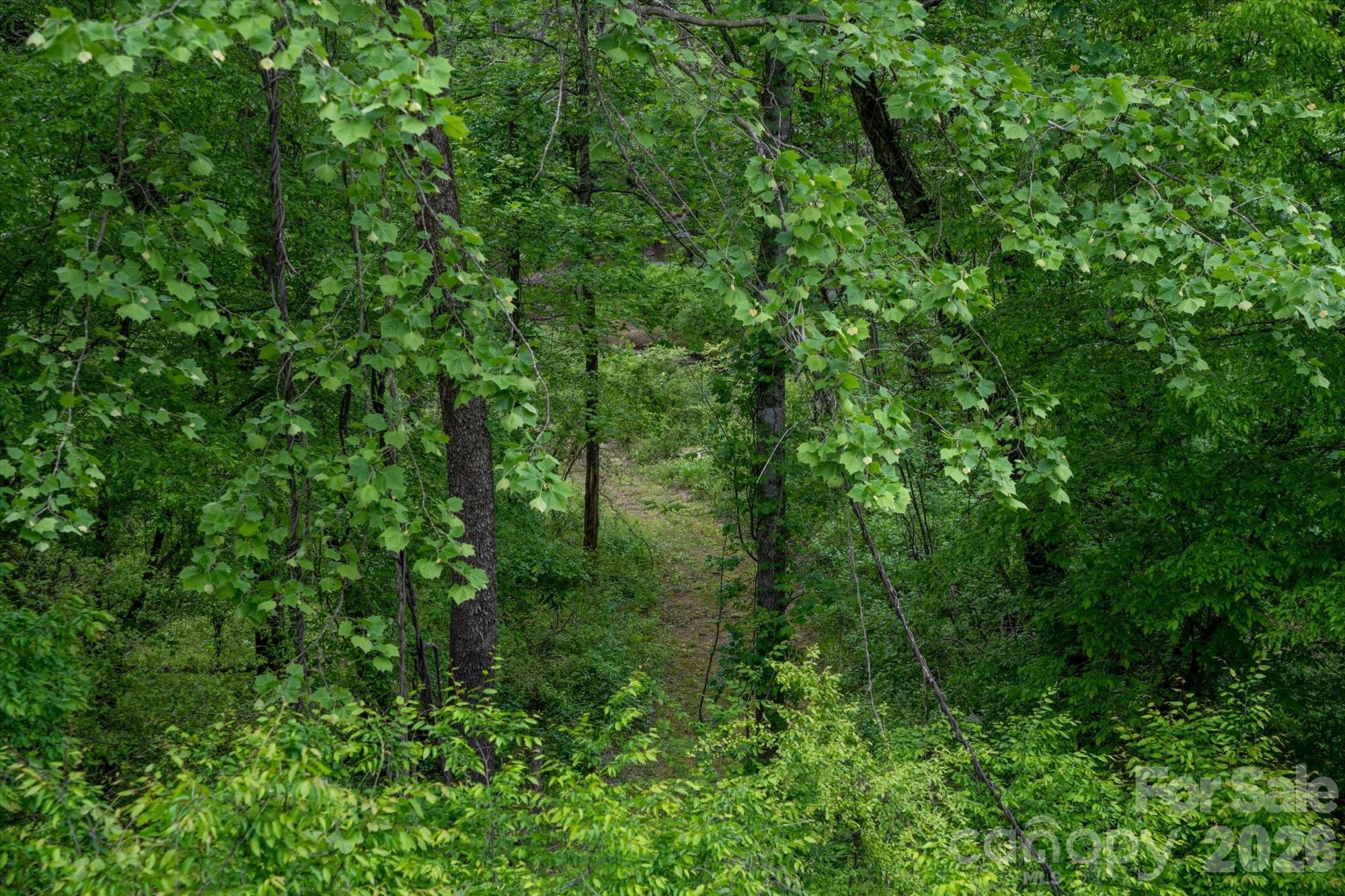 Riverbend at Lake Lure - Land