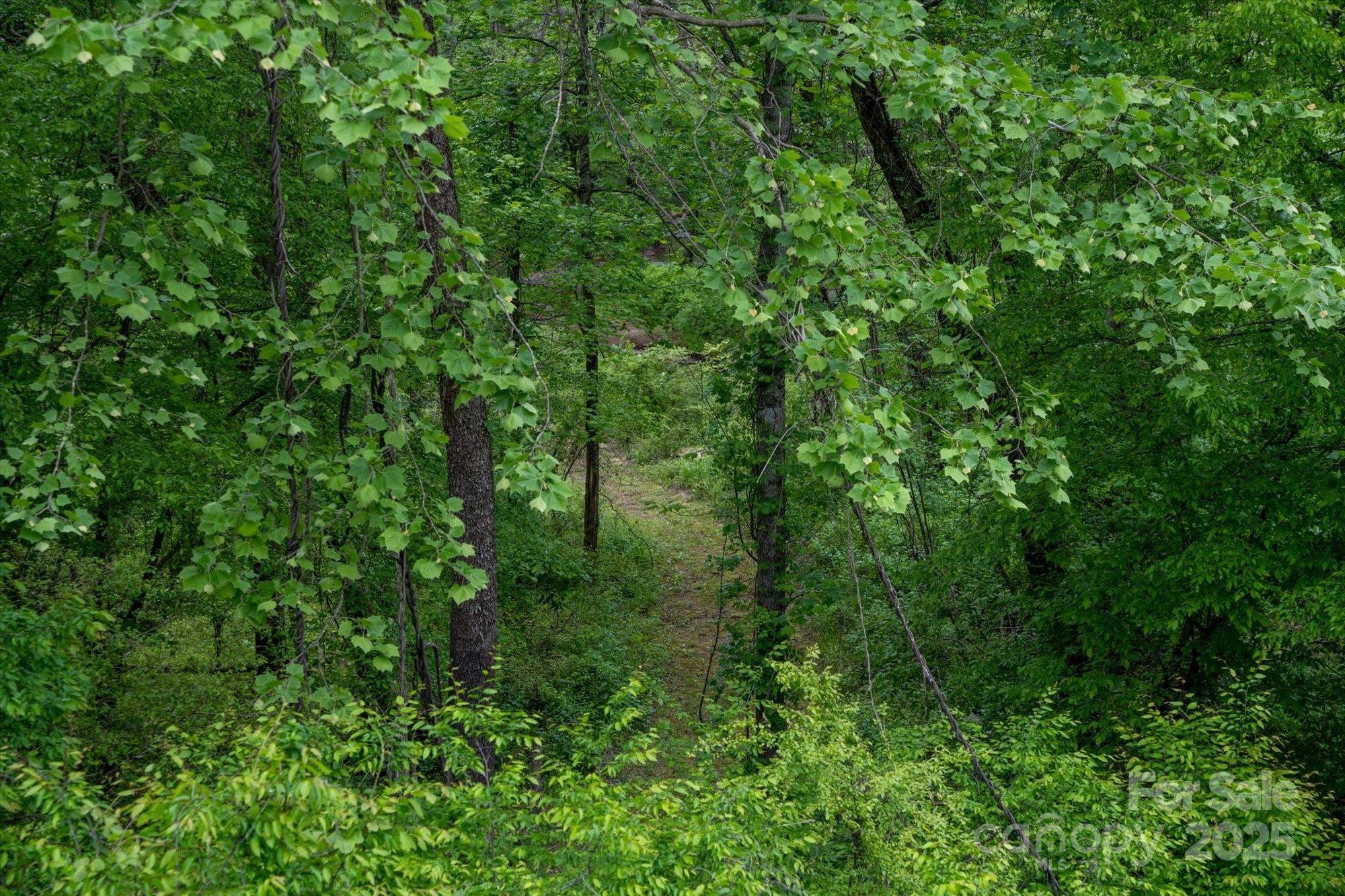 Riverbend at Lake Lure - Land