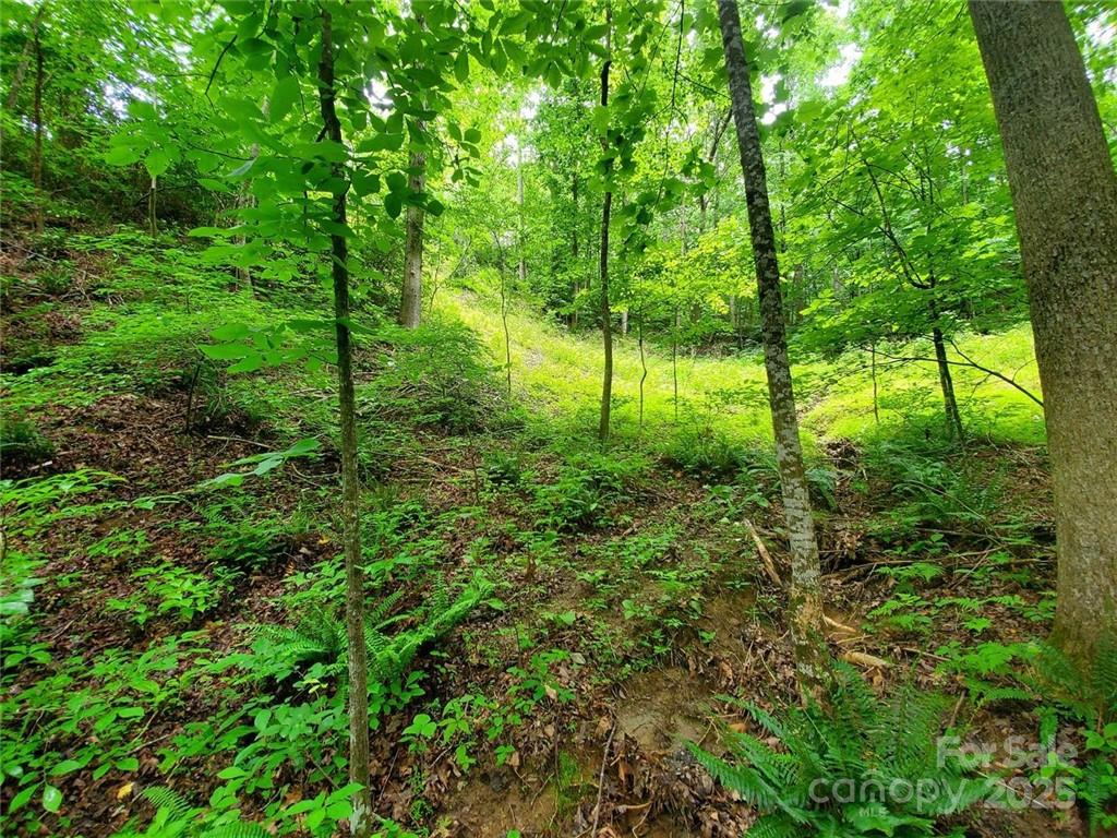 Riverbend at Lake Lure - Land