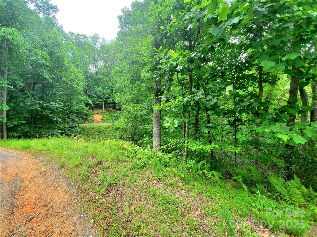 Riverbend at Lake Lure - Land