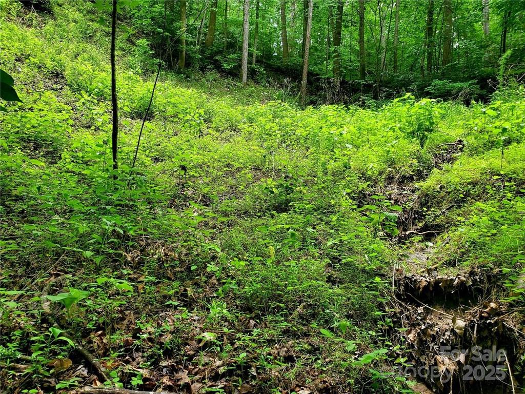 Riverbend at Lake Lure - Land
