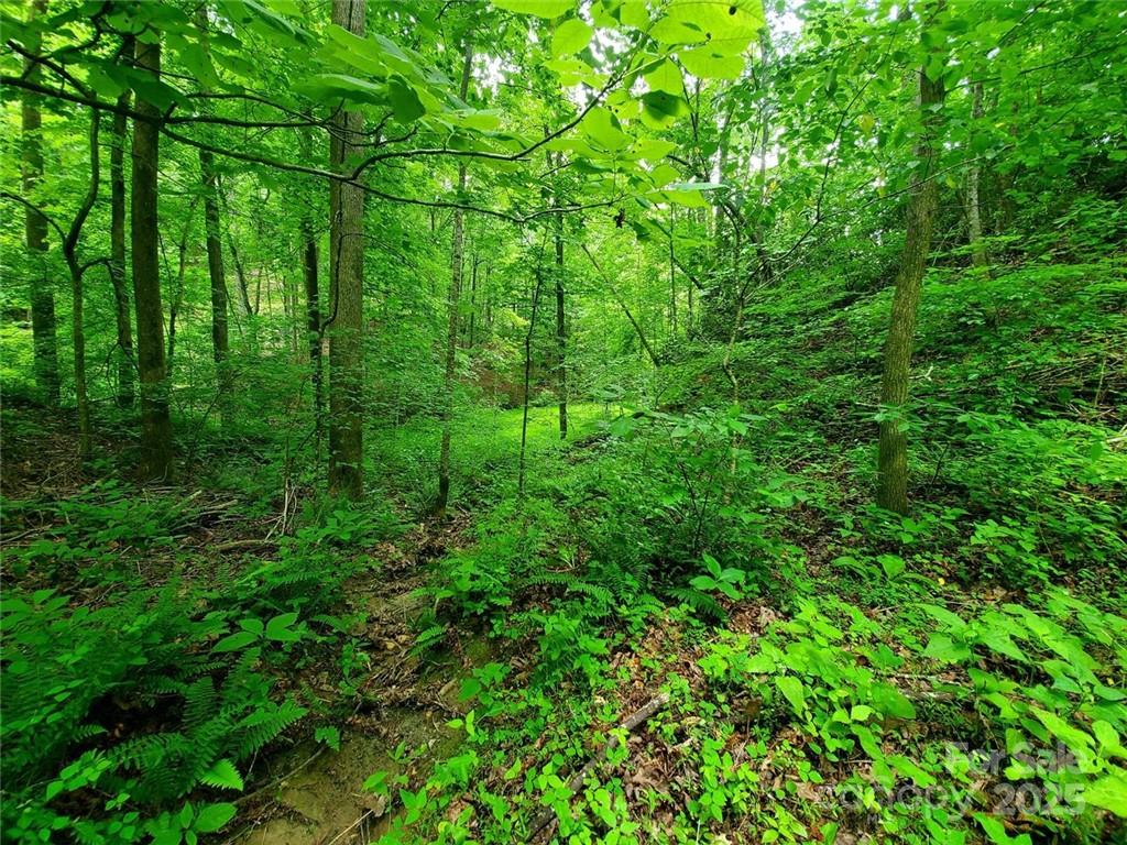 Riverbend at Lake Lure - Land