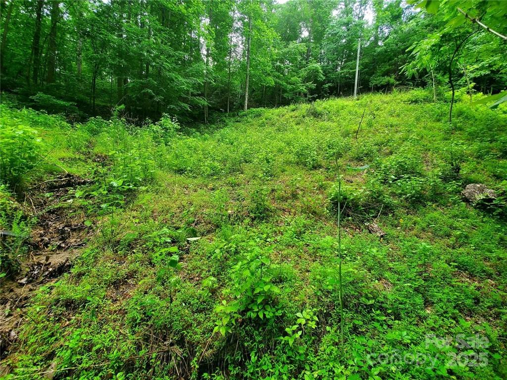 Riverbend at Lake Lure - Land