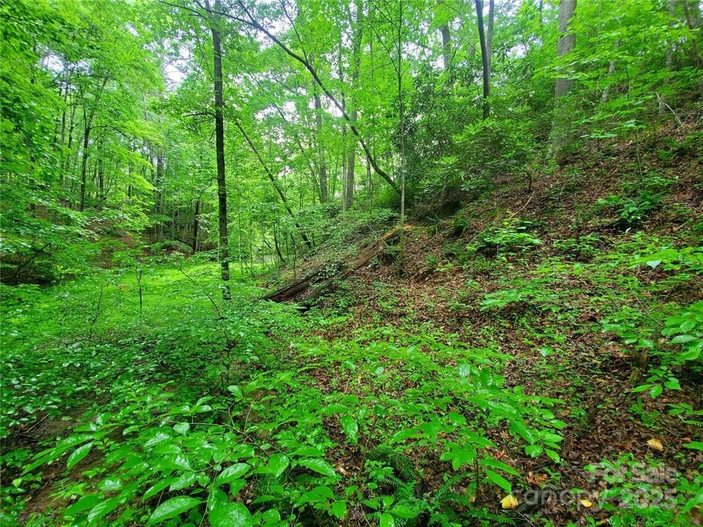 Riverbend at Lake Lure - Land