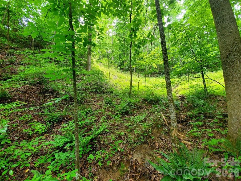 Riverbend at Lake Lure - Land