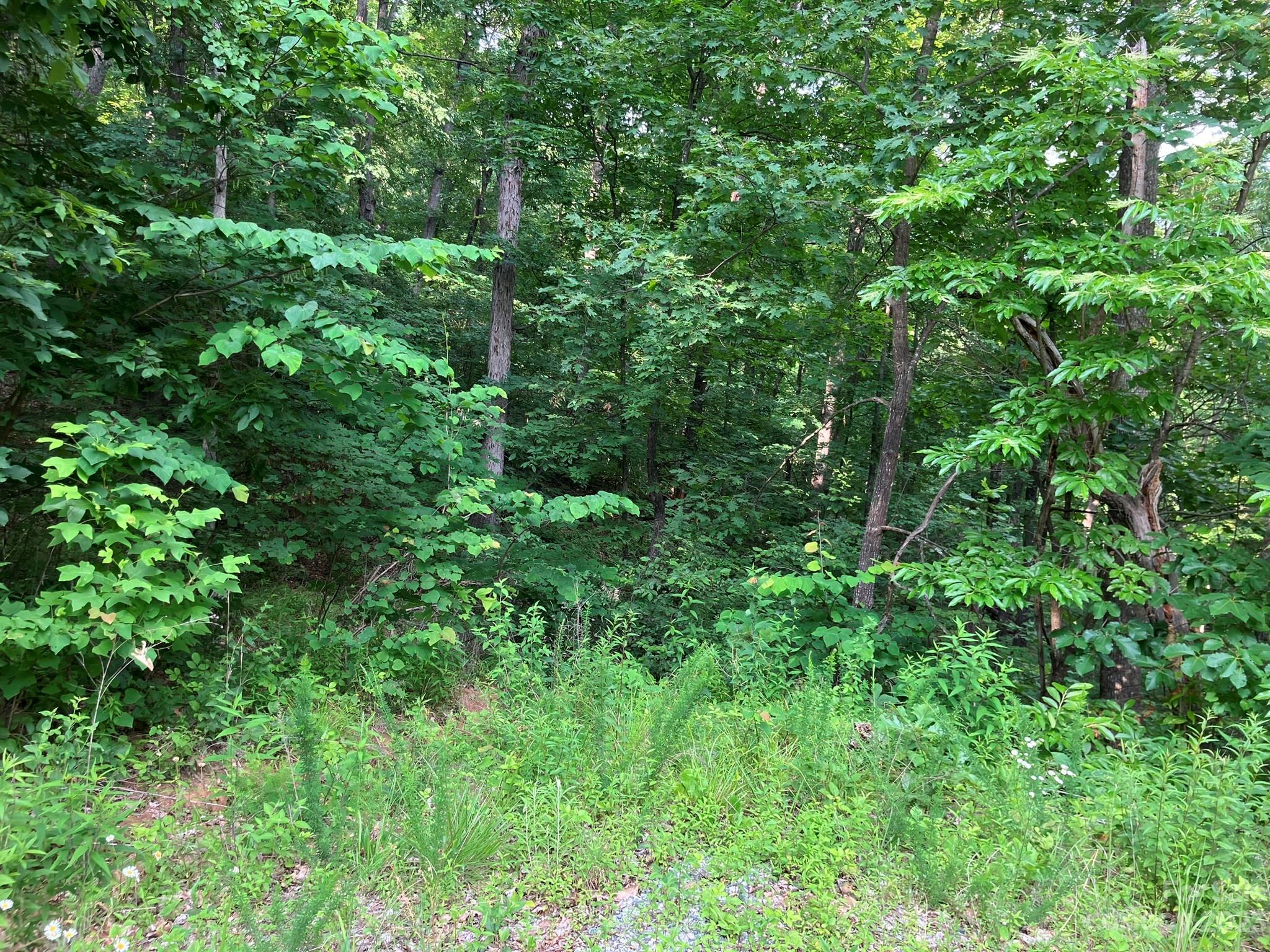 00 Roberts Trail LOT 454